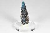 Blue Kyanite & Garnet in Biotite-Quartz Schist - Russia #178947-1